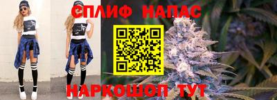 индика Анжеро-Судженск
