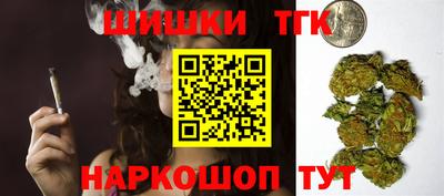 индика Анжеро-Судженск