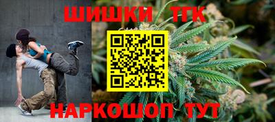 индика Анжеро-Судженск