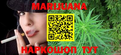 индика Анжеро-Судженск