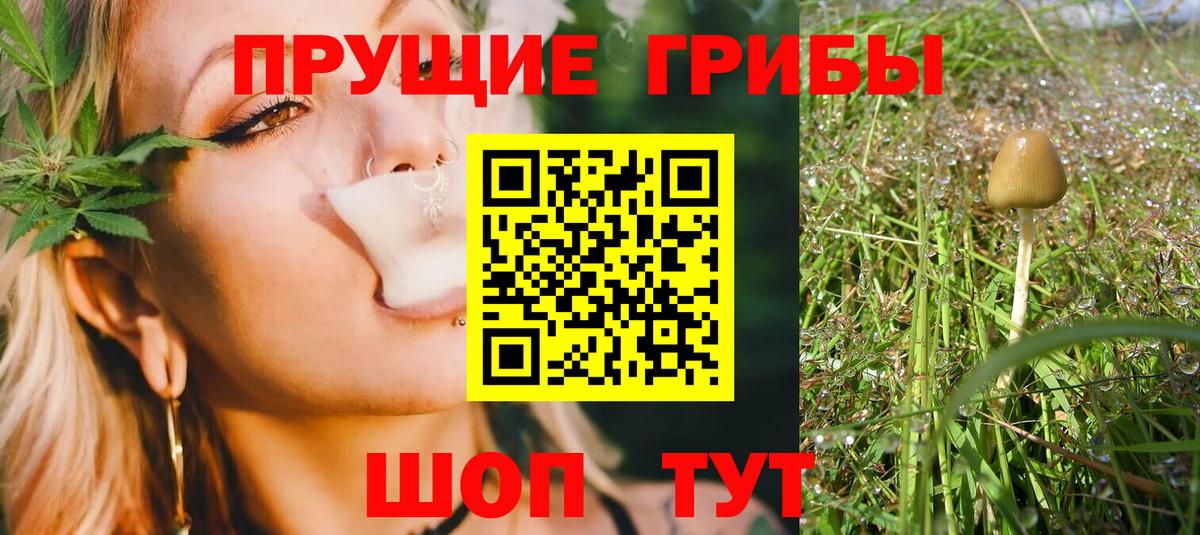 Галлюциногенные грибы мухоморы  Вход с VPN  Галлюциногенные грибы GOLDEN TEACHER  Белореченск 